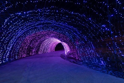 Parque Lumni Experience – Ingresso 1 dia 