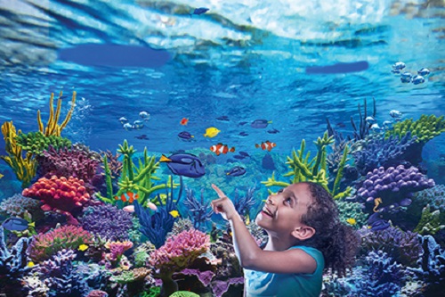 Sea Life London Aquarium Ingresso de 01 dia