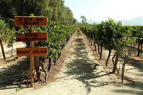 Vinicola Concha y Toro